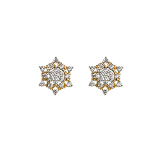 Dazzling Star Earrings