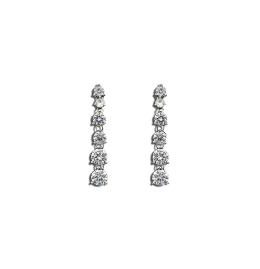 Dangling Zircon Earrings